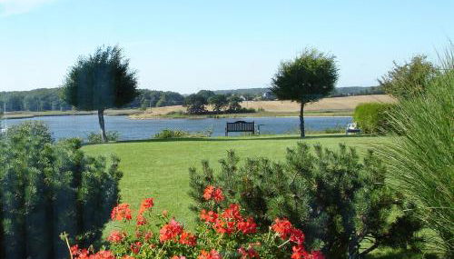 Fischreiher 2 - Foto 3, Garden