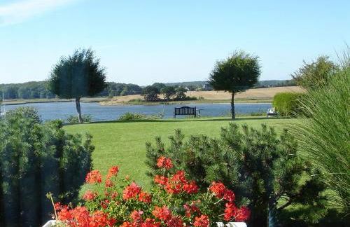 Fischreiher 2 - Foto 3