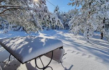 Borsk Sielanka - Foto 33