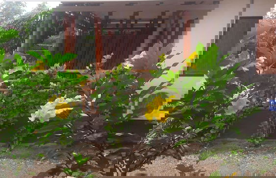 Ramidahost2 - Photo 16