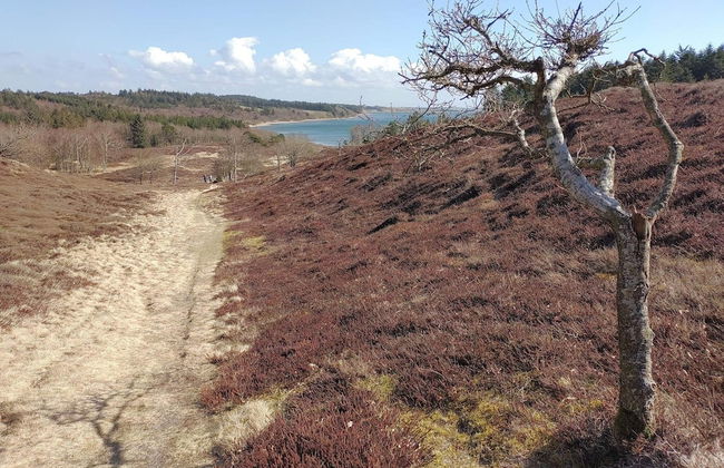 Scenic Retreat in Boddum - By Traum Ferienwohnungen - Foto 21