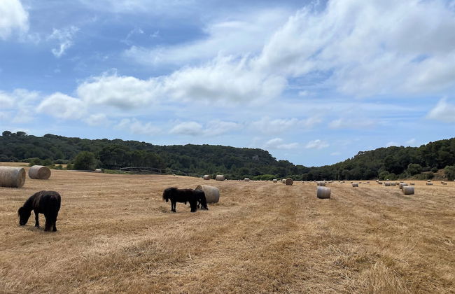 Hotel Llucatx Menorca - Photo 68