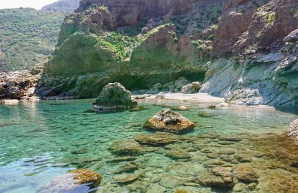 Senses view - Foto 21