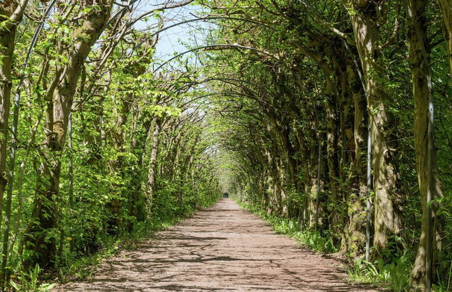 Country Home in Theux With Pool & Sauna - Photo 34