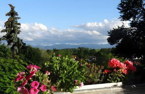 Zum Rebberg Ferienwohnungen - Foto 4