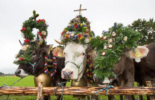 Ferienwohnung Bergnah - Foto 29
