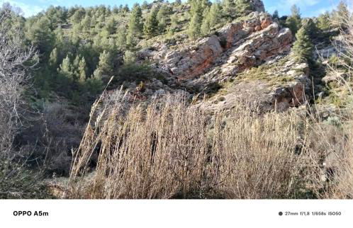 Los Gavilanes BOGARRA - Foto 6