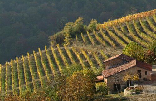 Villa con piscina e intera struttura a uso esclusivo casa del moré - Photo 51