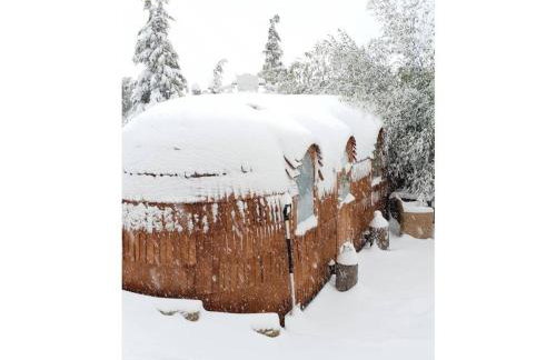 Tiny House Alpenpanorama Chalet Igluhut - Foto 6