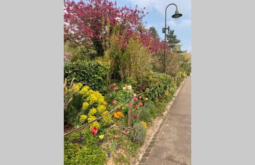 Le Clos de l'Eglise - Blanche - Foto 22
