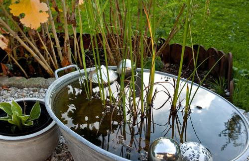 Stachl-Hof - Chiemgau Karte - Foto 8