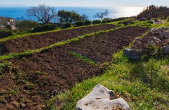 Agriturismo Fattoria Terranova - Foto 70