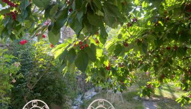 Apartamentos Cerro Negro - Foto 4