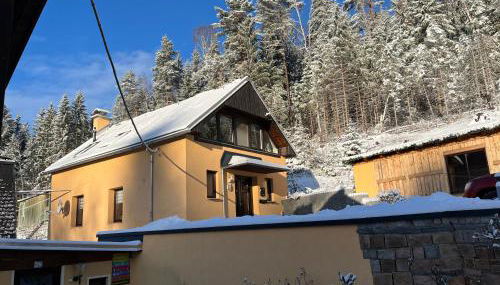 Ferienhaus Wernesgrün - Foto 3