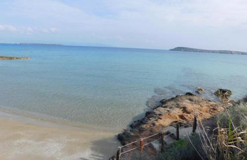 Flora Apartments - Photo 53