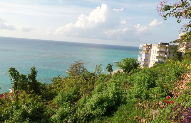 Court Manor at Montego Bay Club - Foto 49