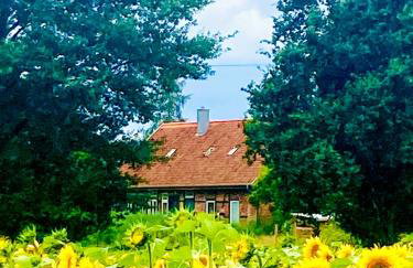 Idyllic Vacation Home In The Elbe Floodplains - Foto 36
