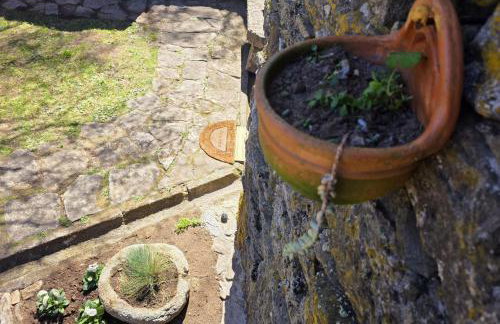 Cardenha das Formiguinhas - Foto 35