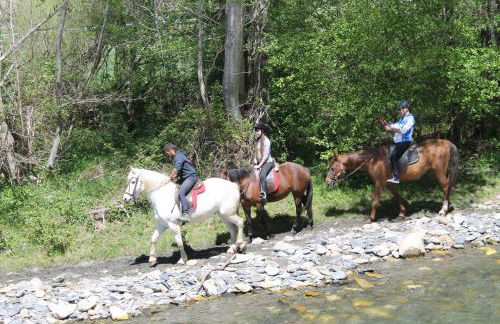 Apartamentos wifi Baqueira & Aigüestortes con jardín privado - Photo 58