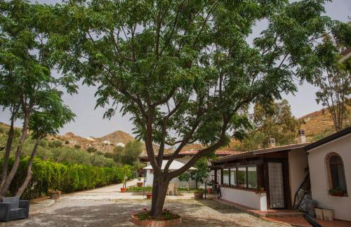 Tenuta Severino - Foto 43