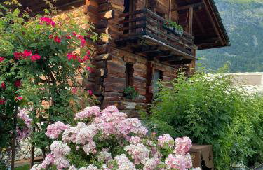 Au Rascard - Chalet d'hôtes - Foto 23