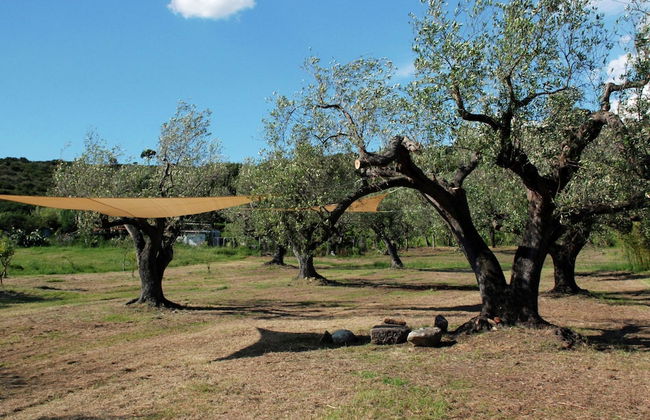 Romantic Stay Near Velia - Foto 21