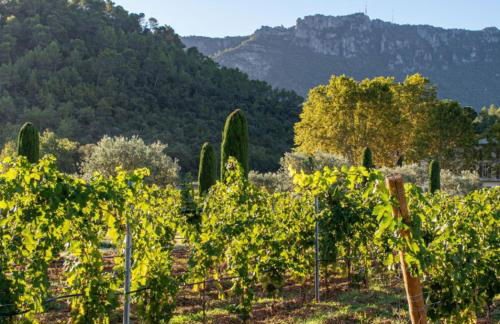 Villa Cinsault, un bijou pour votre séjour en Provence Verte - Foto 22