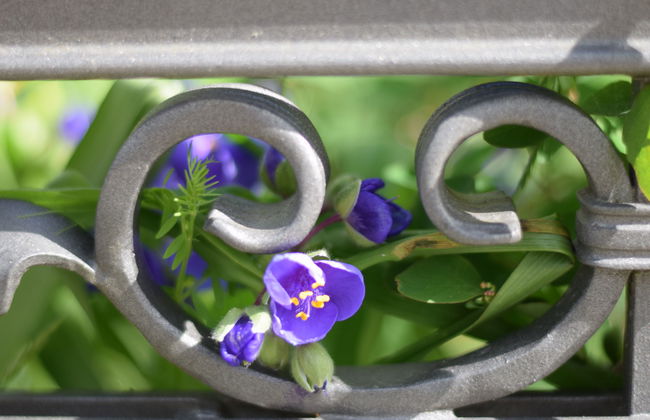 Stolzenfels - Foto 15