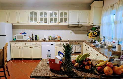 Casa Rua dos Loureiros - Foto 10