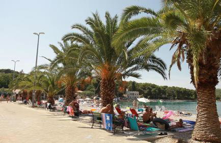 Apartments Salihbegovic - Foto 8