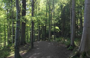 The Snug @ the Mill Inn, Stonehaven - Foto 35