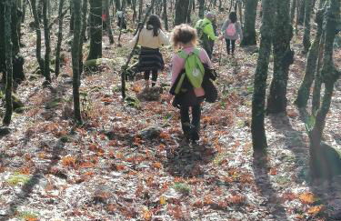 La Casa de Abajo - Photo 32