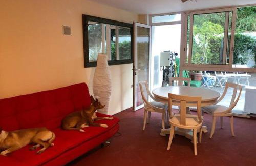 Apartamento abierto con patio - Photo 17