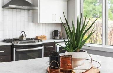 Modern Luxury with Rooftop Deck, 3 mi to Downtown - Foto 20