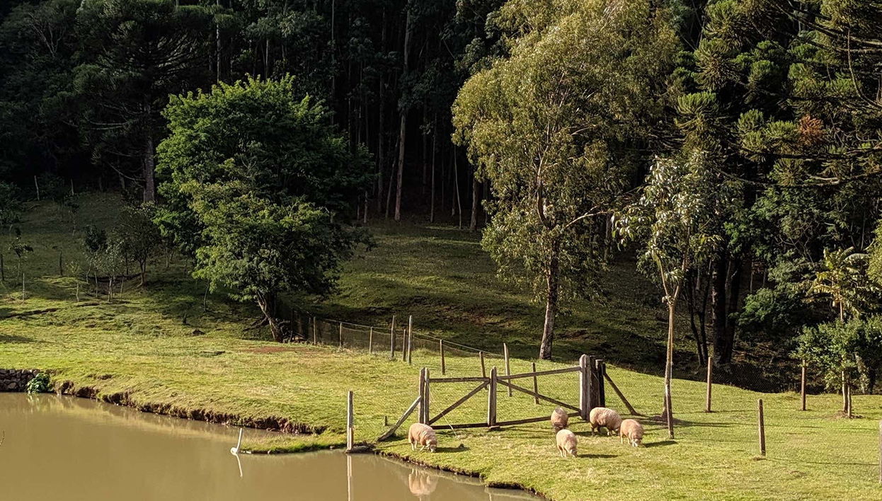 Visite de la Vallée de Quilombo