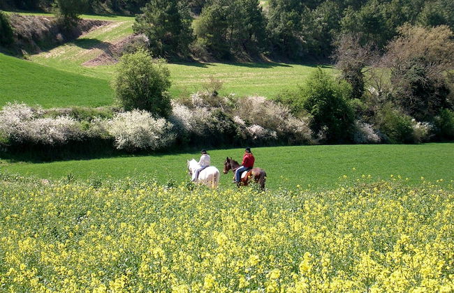 Cal Carulla - Foto 46