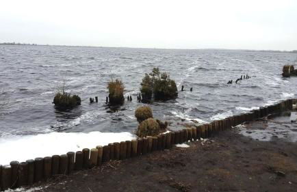 Kaffeekiste - Foto 35