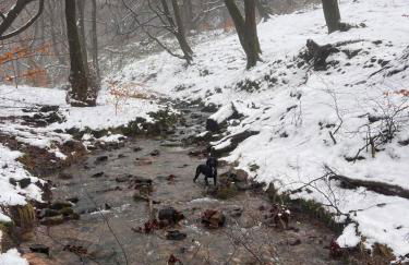 Apartment 3 The Baileys Cwm - Foto 13