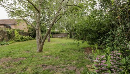 White Roses - Foto 2