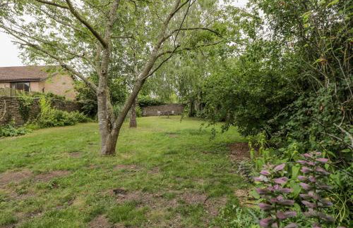 White Roses - Foto 2