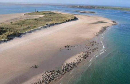 Charming country cottage at a Victorian Station - Foto 15