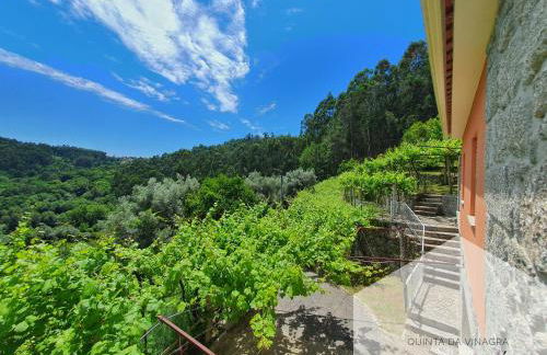 Quinta da Vinagra - Foto 13