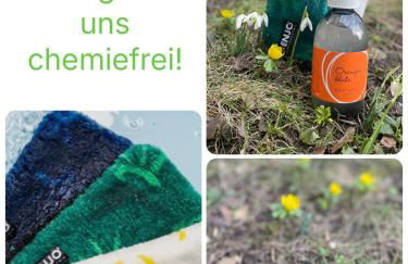 Kochstedter Wohnstuben - Wohnen mit Naturbaustoffen in der Bauhausstadt Dessau - Foto 2