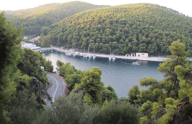 Maeiz Skopelos - Foto 50