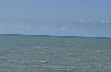 Les Bleuets - Foto 21