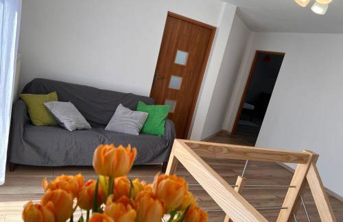 Agroturystyka Porbady - Foto 25