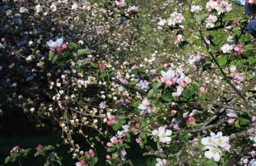 Baita Agaz - Foto 76