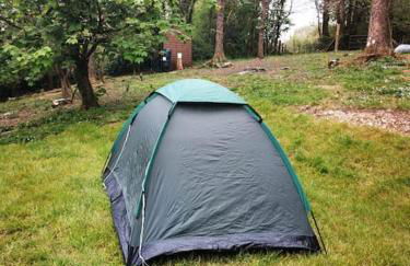 The Barn Yr Ysgubor - Photo 17