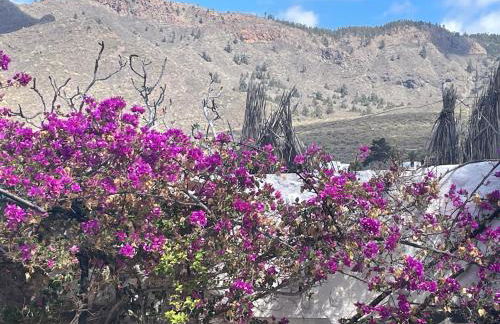 Tierrazul Art Boutique White Nordic Suite - Foto 2