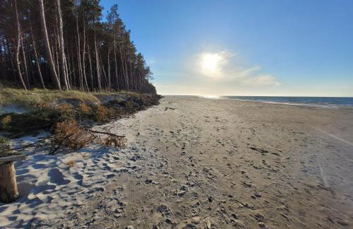 Zakątek Sasanki - Foto 39